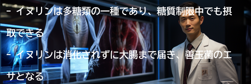 イヌリンを含む食品の例の要点まとめ
