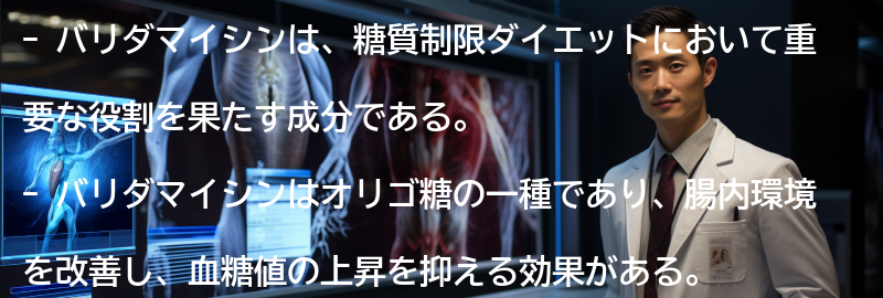 「バリダマイシン」とは何か?の要点まとめ