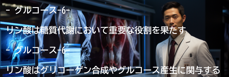 グルコース-6-リン酸の役割の要点まとめ