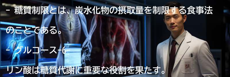 糖質制限のQ&Aの要点まとめ