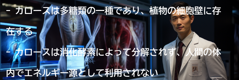 カロースとはの要点まとめ