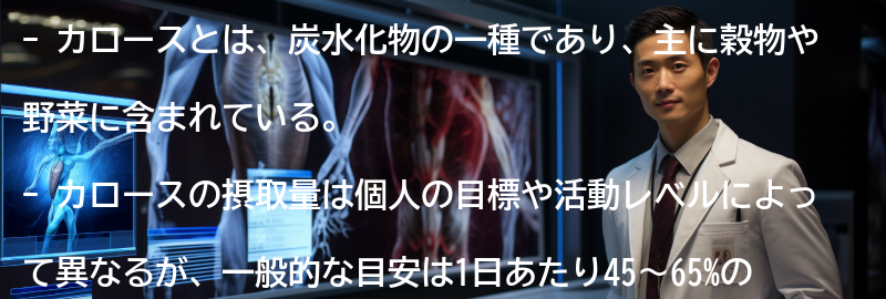 カロースの摂取量の目安の要点まとめ