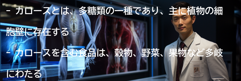 カロースを含む食品の例の要点まとめ