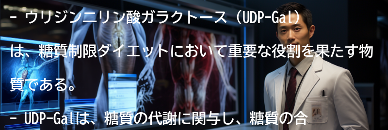 ウリジン二リン酸ガラクトースとは何ですかの要点まとめ