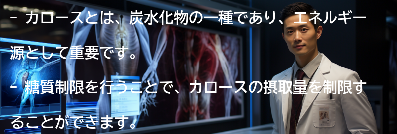 カロースを制限する方法の要点まとめ