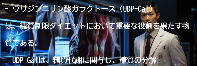 ウリジン二リン酸ガラクトースの効果と利点の要点まとめ