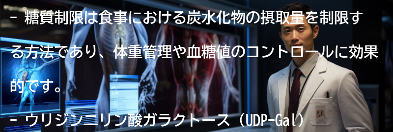 糖質制限の実践方法の要点まとめ