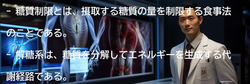 糖質制限と解糖系の関係について詳しく解説の要点まとめ