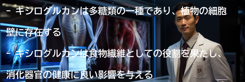キシログルカンとは何ですか?の要点まとめ