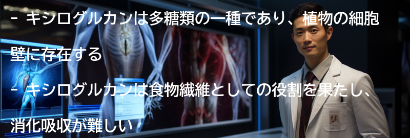 キシログルカンの役割とは?の要点まとめ