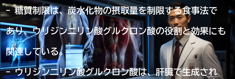 糖質制限とウリジン二リン酸グルクロン酸の関係の要点まとめ