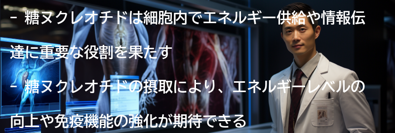 糖ヌクレオチドの効果の要点まとめ