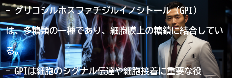グリコシルホスファチジルイノシトールの役割と効果の要点まとめ