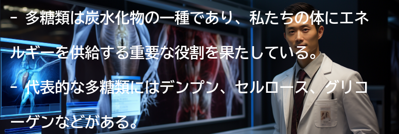多糖類の代表的な種類と特徴の要点まとめ