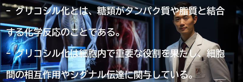 グリコシル化の影響とは何ですかの要点まとめ
