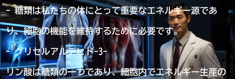 糖類の役割とはの要点まとめ