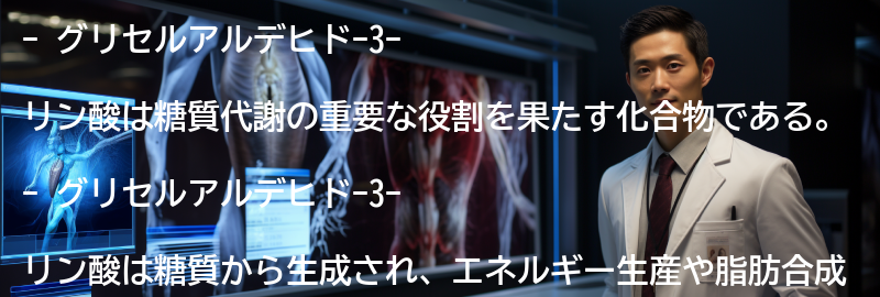 グリセルアルデヒド-3-リン酸とはの要点まとめ