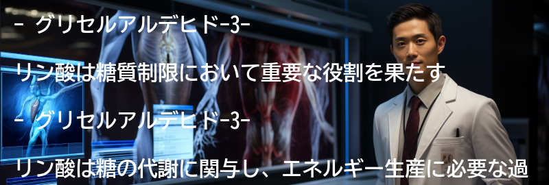 グリセルアルデヒド-3-リン酸の役割と効果の要点まとめ