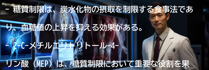 糖質制限とはの要点まとめ