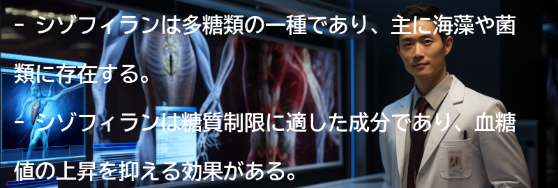 シゾフィランとはどのような成分か?の要点まとめ