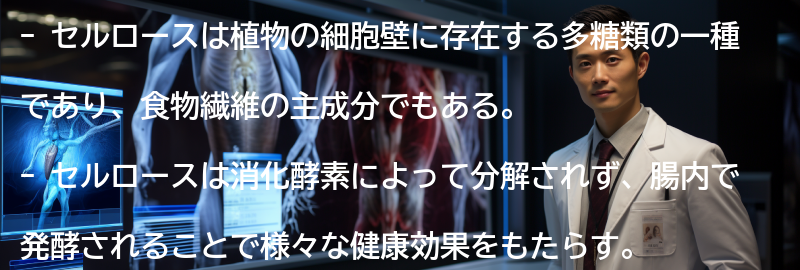 セルロースとはの要点まとめ