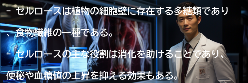 セルロースの摂取方法の要点まとめ