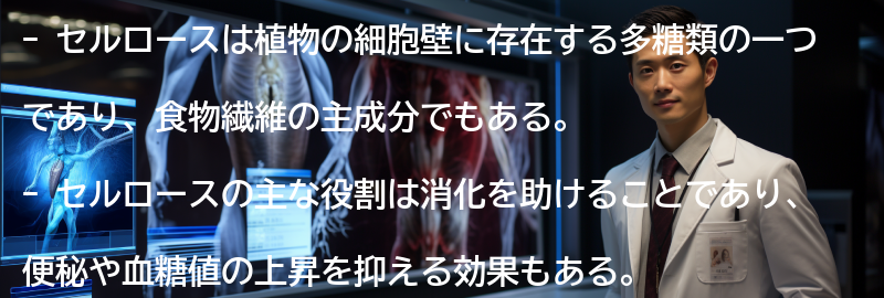 セルロースの注意点の要点まとめ