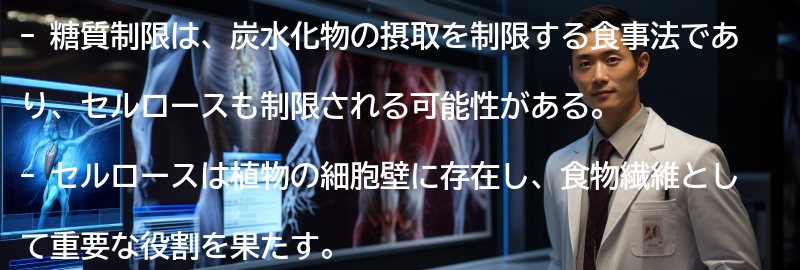 糖質制限とセルロースの関係の要点まとめ