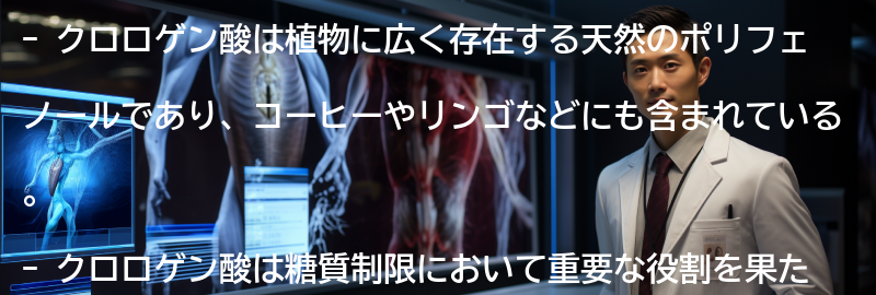 クロロゲン酸とは何か?の要点まとめ