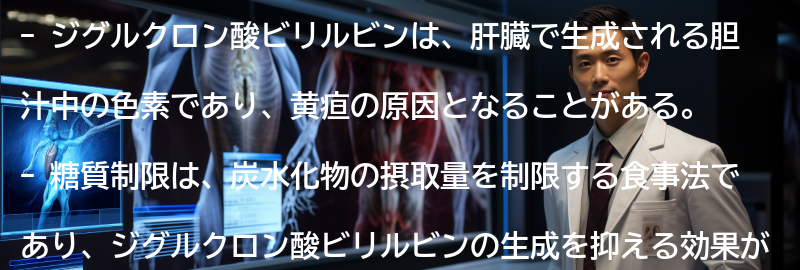 ジグルクロン酸ビリルビンとはの要点まとめ