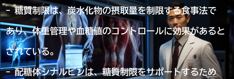 糖質制限とシナルビンの関係性の要点まとめ