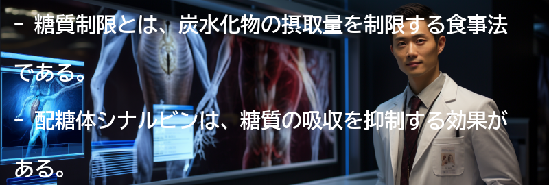 糖質制限とシナルビンの組み合わせで健康的な食生活を実現する方法の要点まとめ