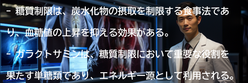 糖質制限とはの要点まとめ