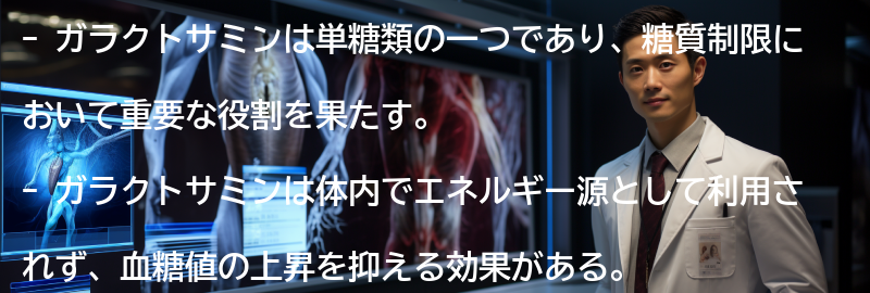 ガラクトサミンとはの要点まとめ