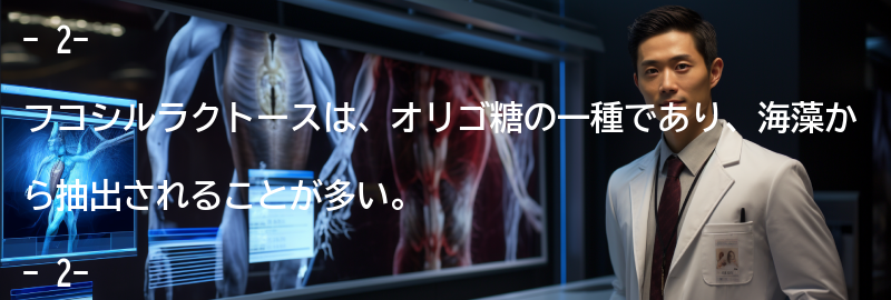 「2-フコシルラクトース」とはの要点まとめ