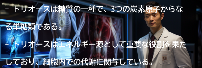 トリオースの特徴と役割の要点まとめ
