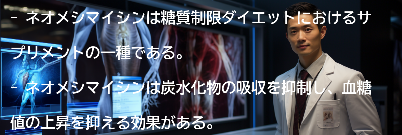 ネオメシマイシンとはの要点まとめ