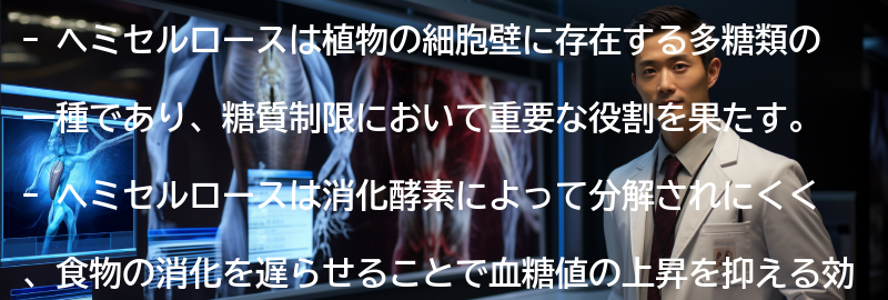 ヘミセルロースとは何ですか？の要点まとめ