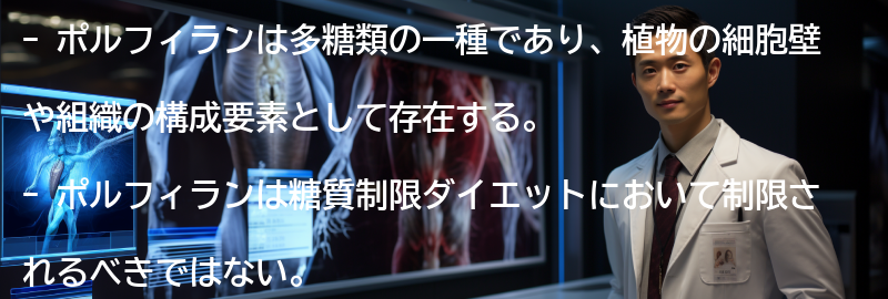 ポルフィランとは何か?の要点まとめ