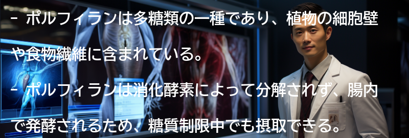 ポルフィランの特徴と効果の要点まとめ