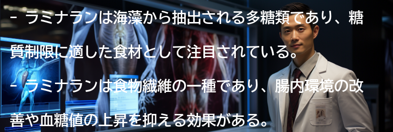 ラミナランを活用したレシピの紹介の要点まとめ