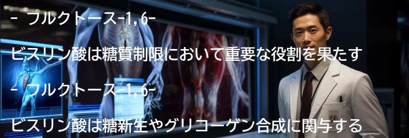 フルクトース-1,6-ビスリン酸の役割の要点まとめ