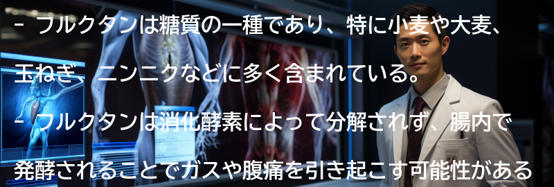 フルクタンを含む食品の一覧の要点まとめ
