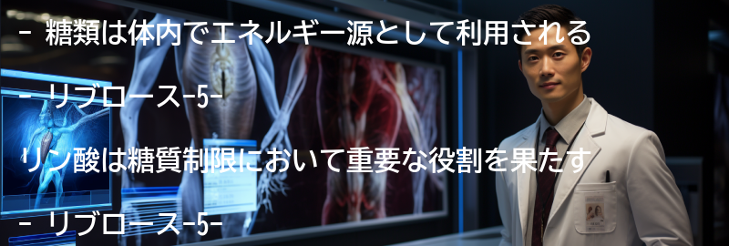 糖類の種類と役割の要点まとめ