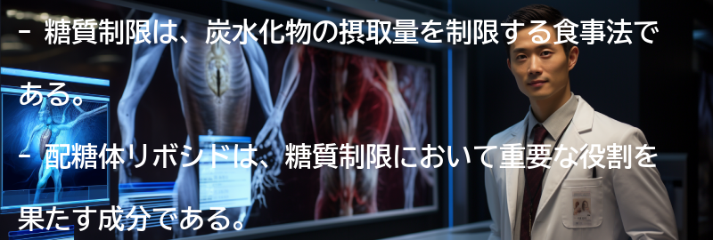 糖質制限とリボシドの関係性の要点まとめ