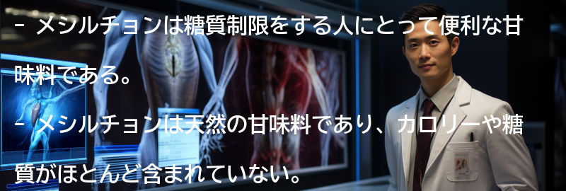 メシルチョンとは?の要点まとめ