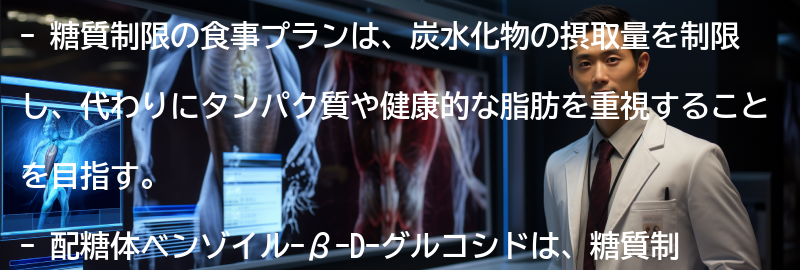 糖質制限のための食事プランとレシピの紹介の要点まとめ
