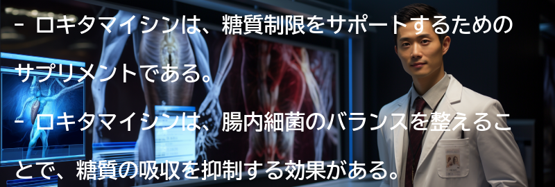 ロキタマイシンとはの要点まとめ